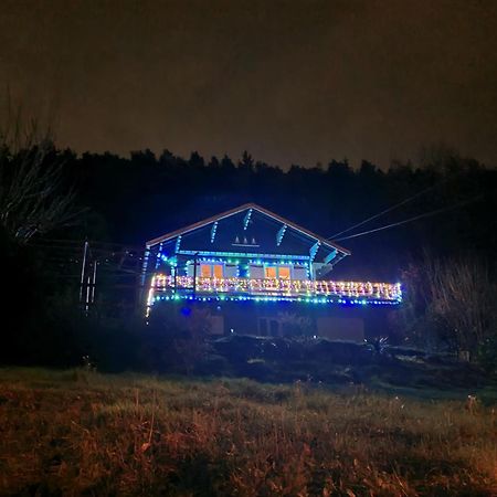 Aurec-Sur-Loire Le Chalet Des Amis 아파트 외부 사진